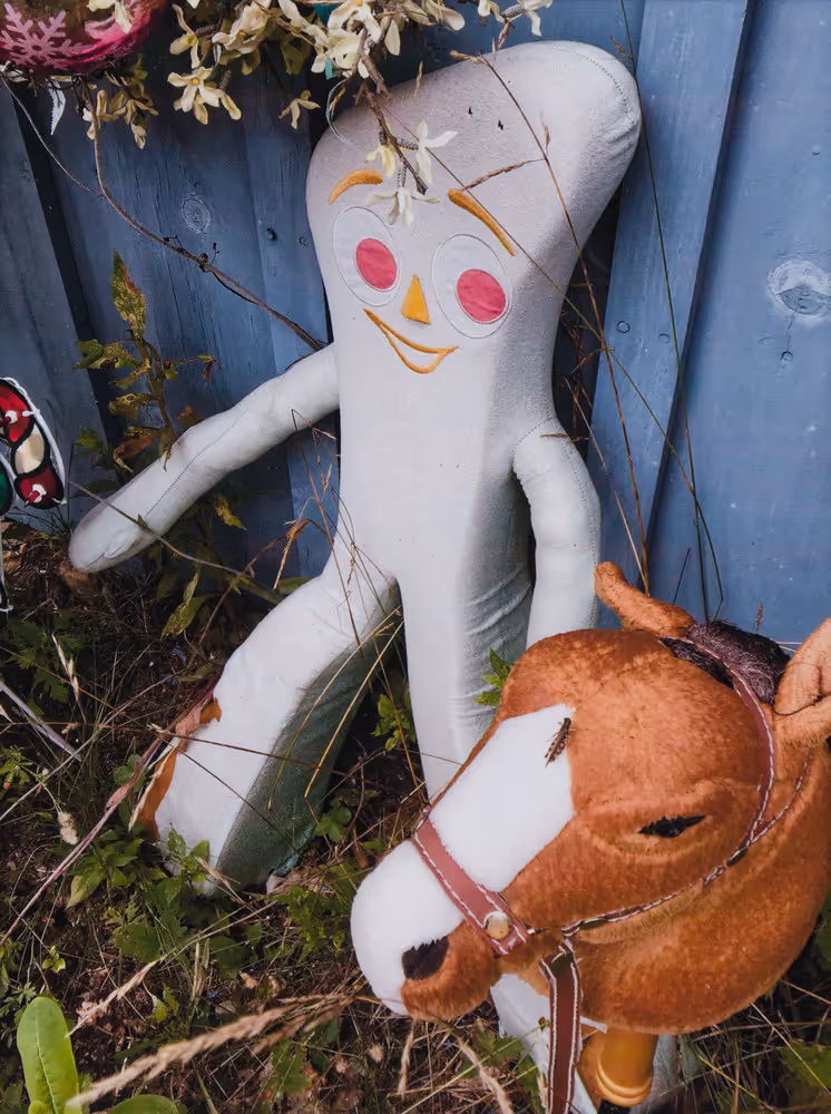 A Trip to the Brooks Transfer Station #8