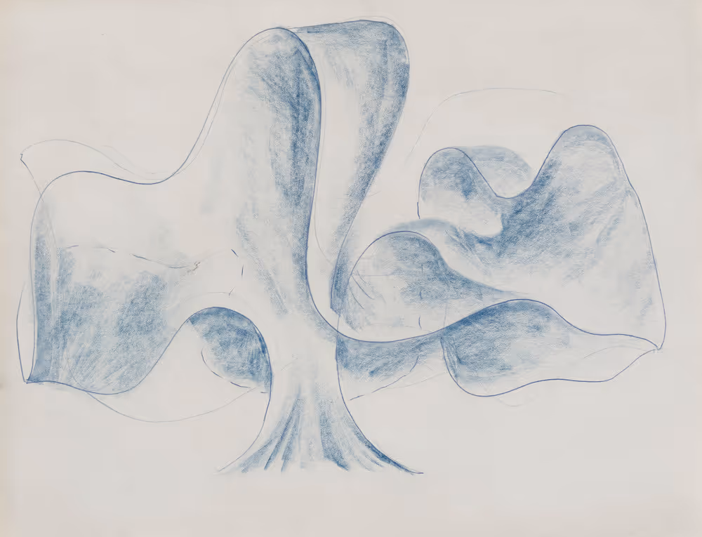 Untitled (welded form drawing)