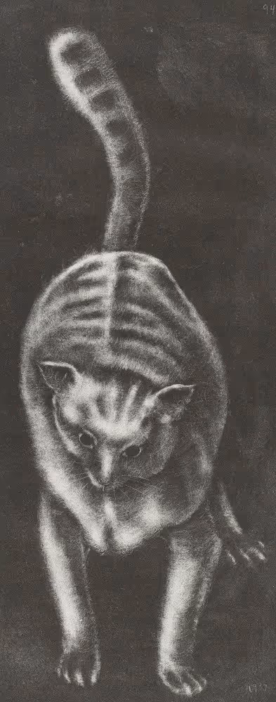 Pussycat, Pussycat, Where Have You Been?