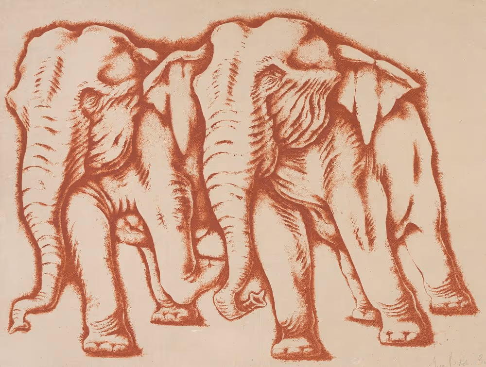 Two Elephants