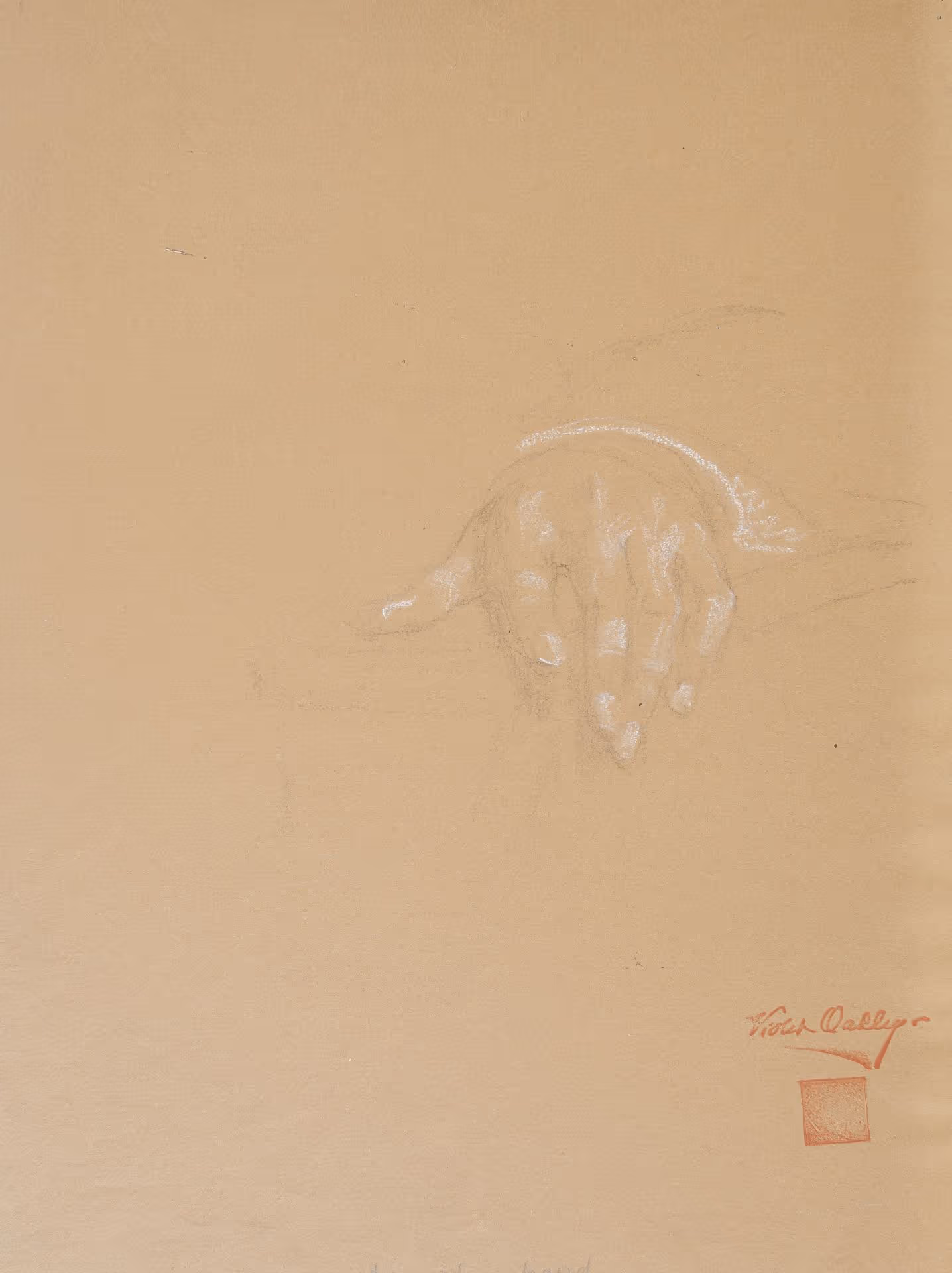 Study of hand