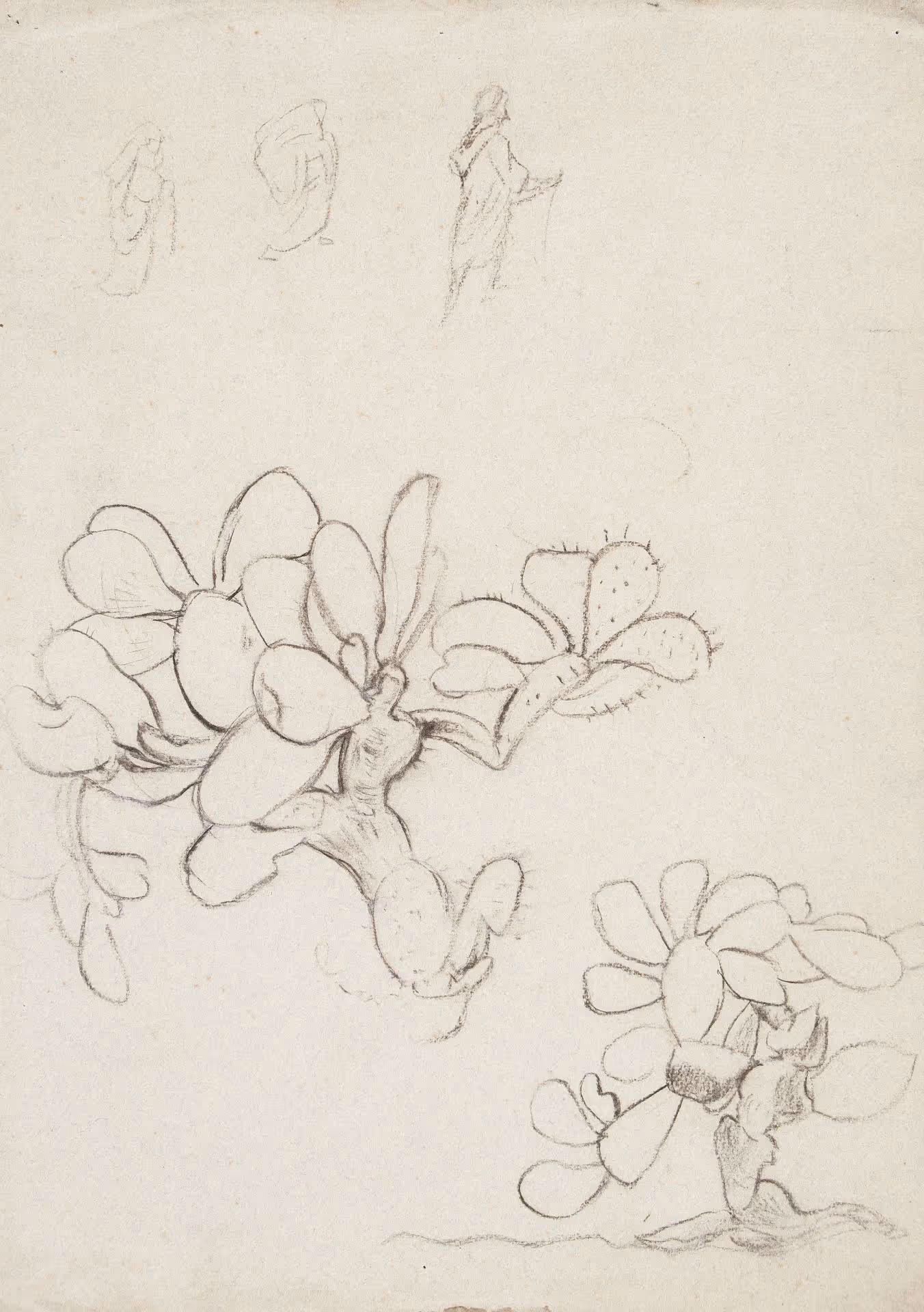 Study of cacti with thumbnail sketches of robed figures