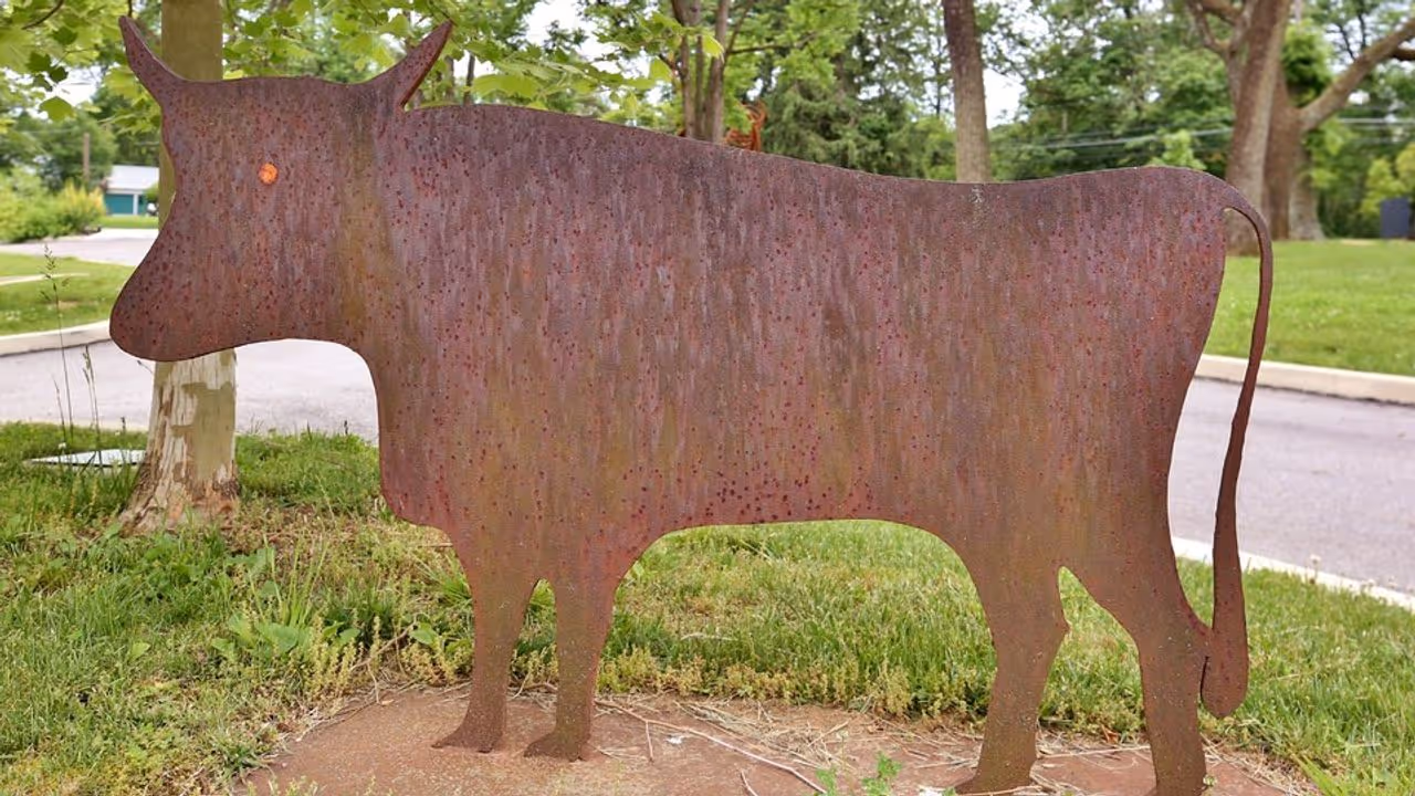 Bull (Positive)