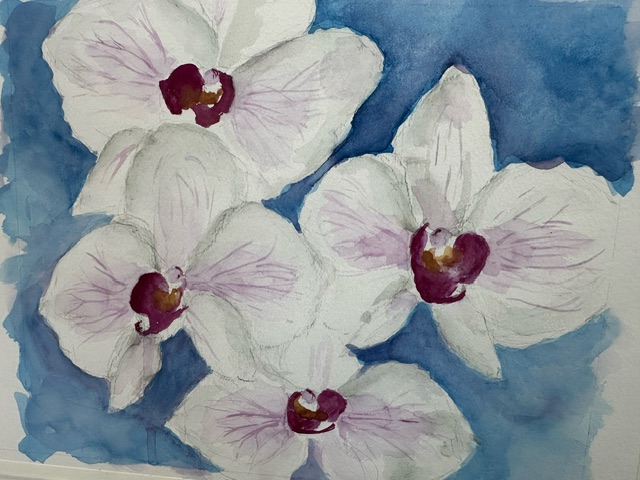 5B | Botanical Watercolor 