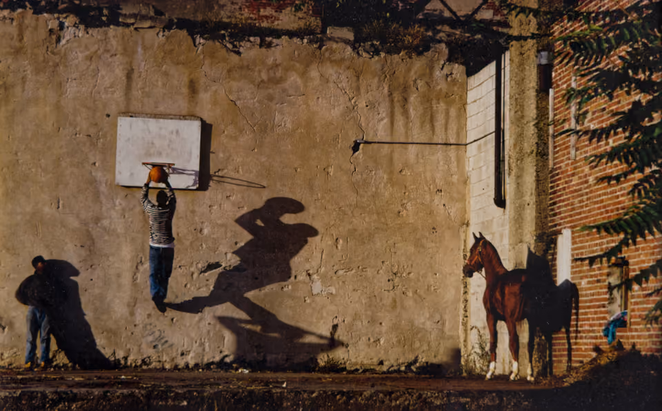 Panel Discussion: Woodmere’s 83rd Annual Juried Exhibition