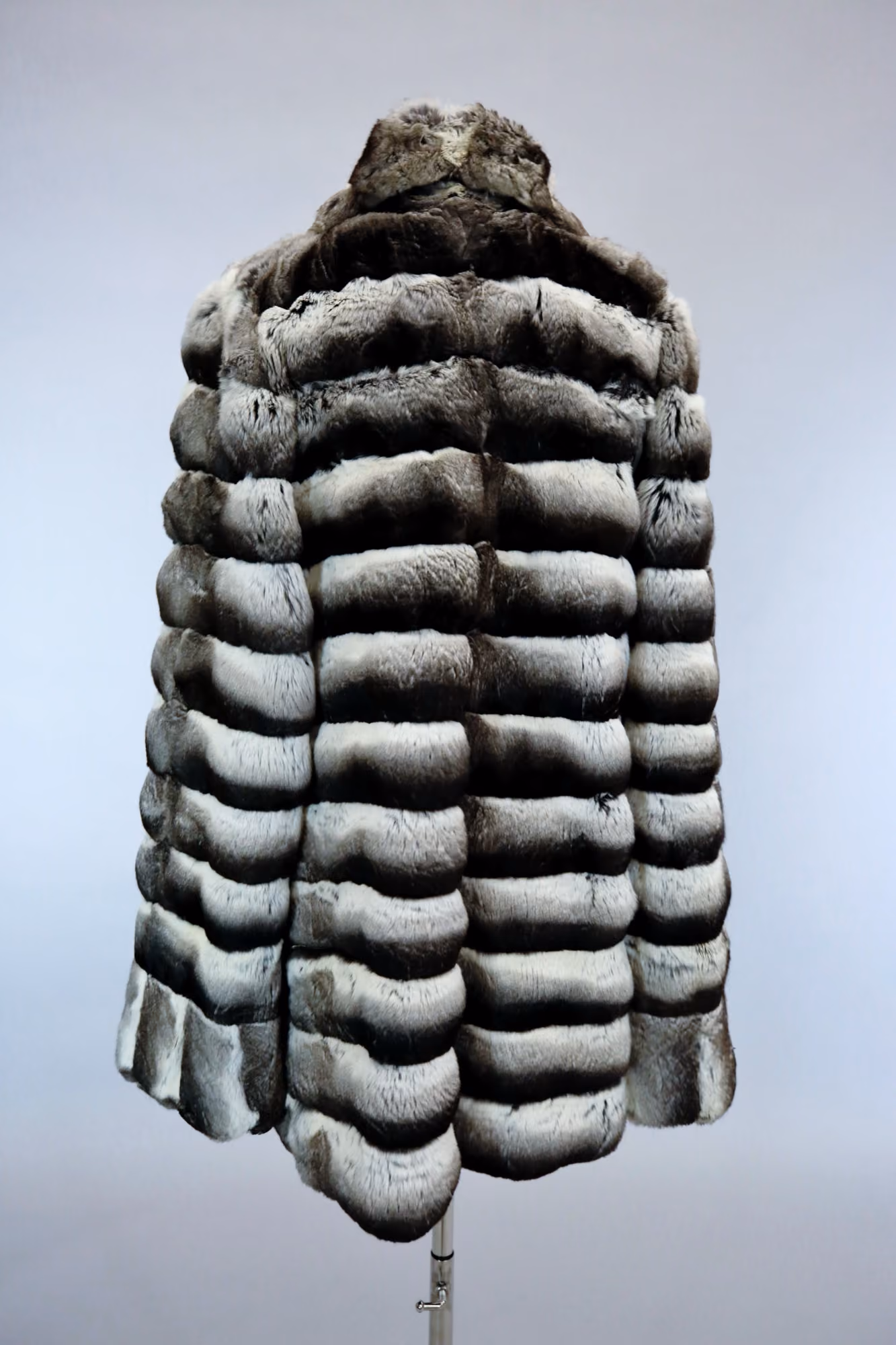 Back image