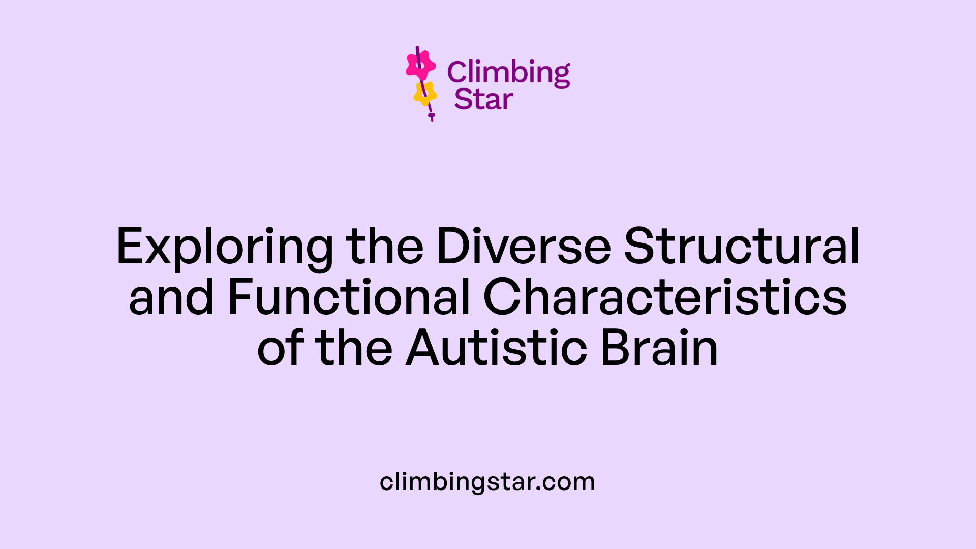 Exploring the Diverse Structural and Functional Characteristics of the Autistic Brain