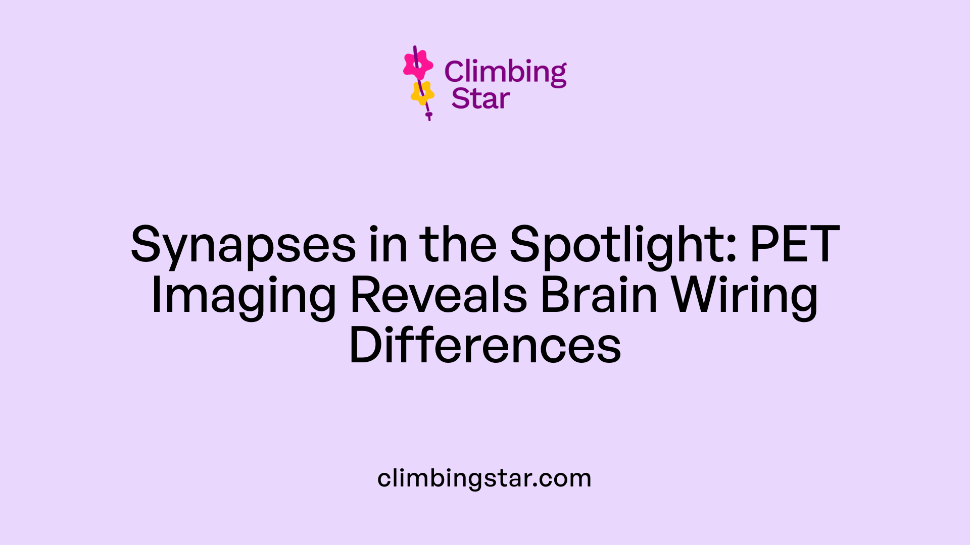 Synapses in the Spotlight: PET Imaging Reveals Brain Wiring Differences