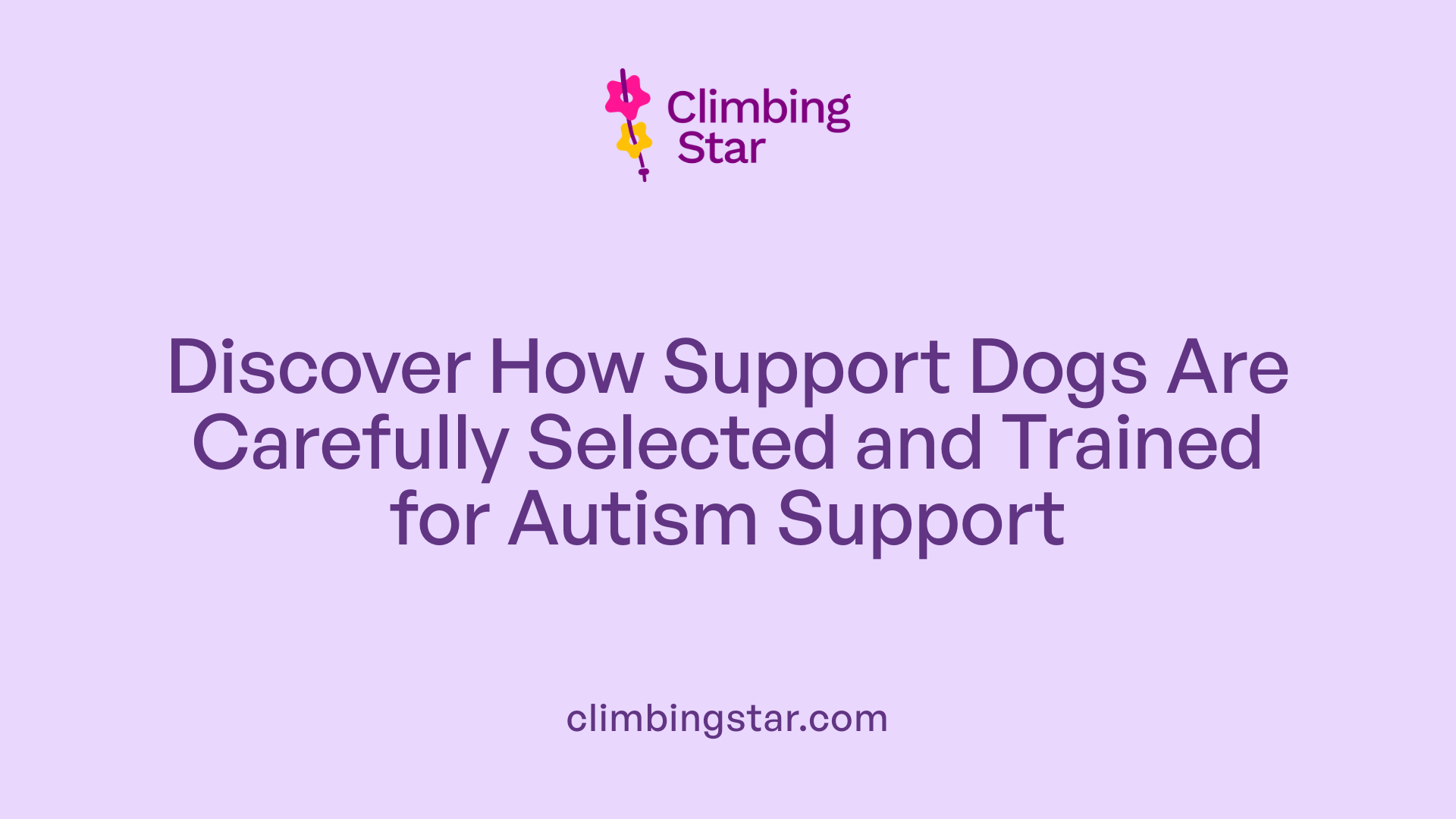 Discover How Support Dogs Are Carefully Selected and Trained for Autism Support