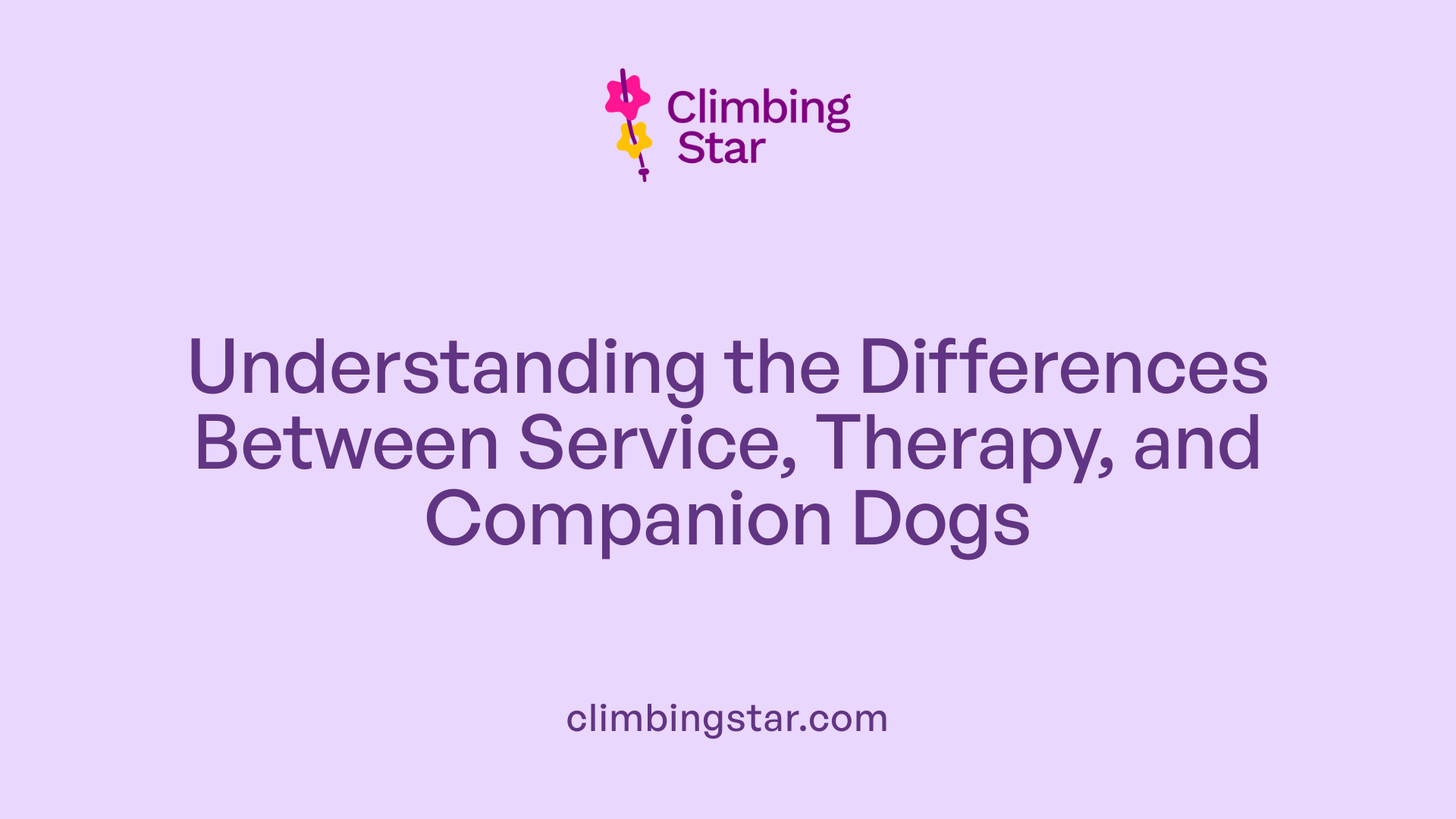 Understanding the Differences Between Service, Therapy, and Companion Dogs