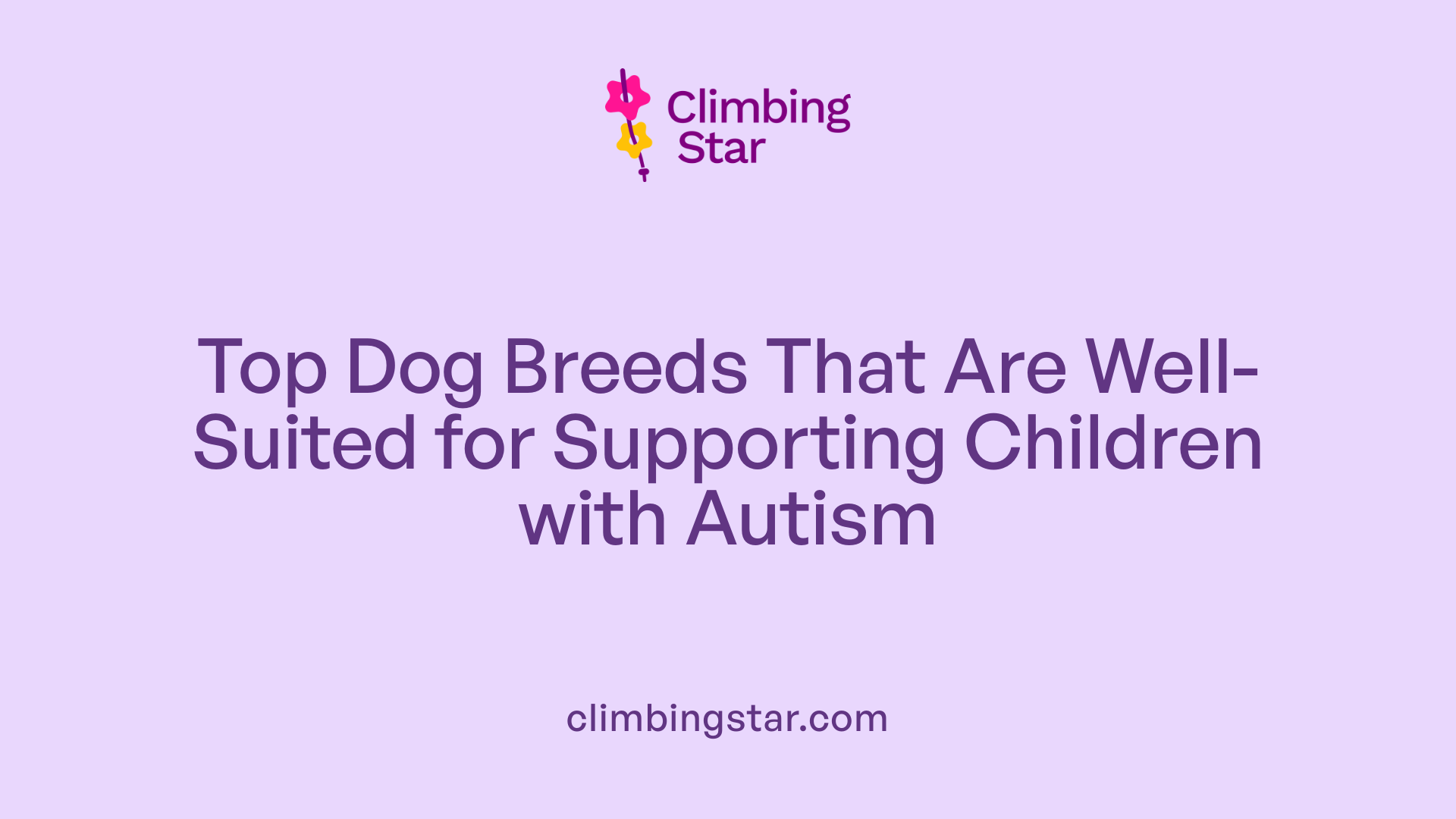 Top Dog Breeds That Are Well-Suited for Supporting Children with Autism