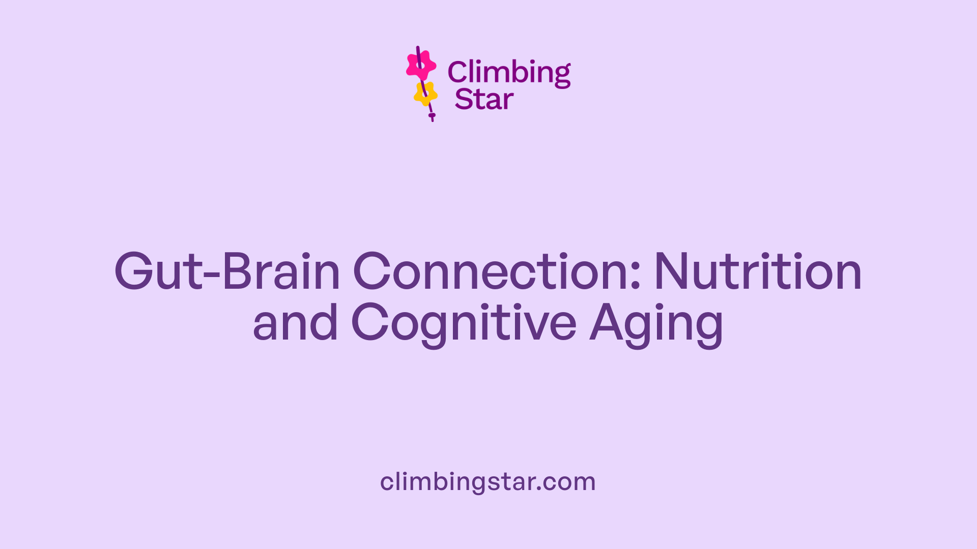 Gut-Brain Connection: Nutrition and Cognitive Aging