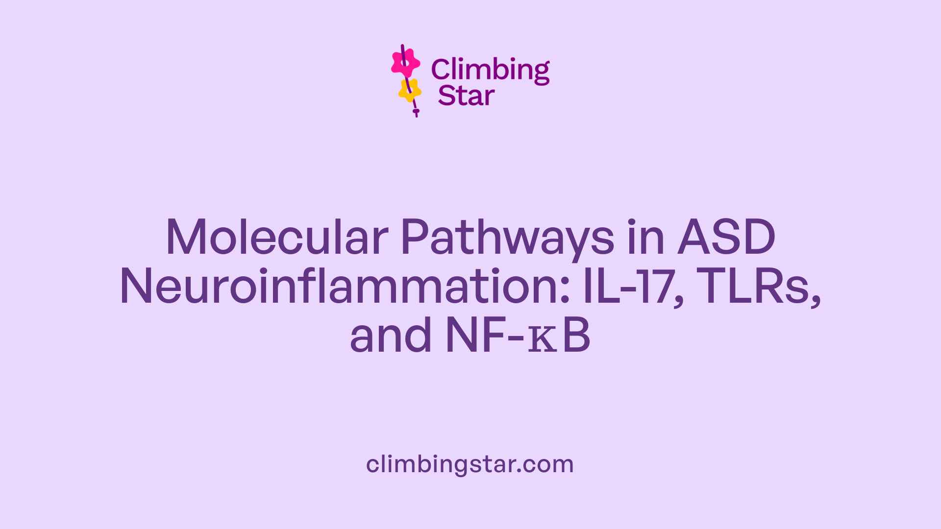 Molecular Pathways in ASD Neuroinflammation: IL-17, TLRs, and NF-κB