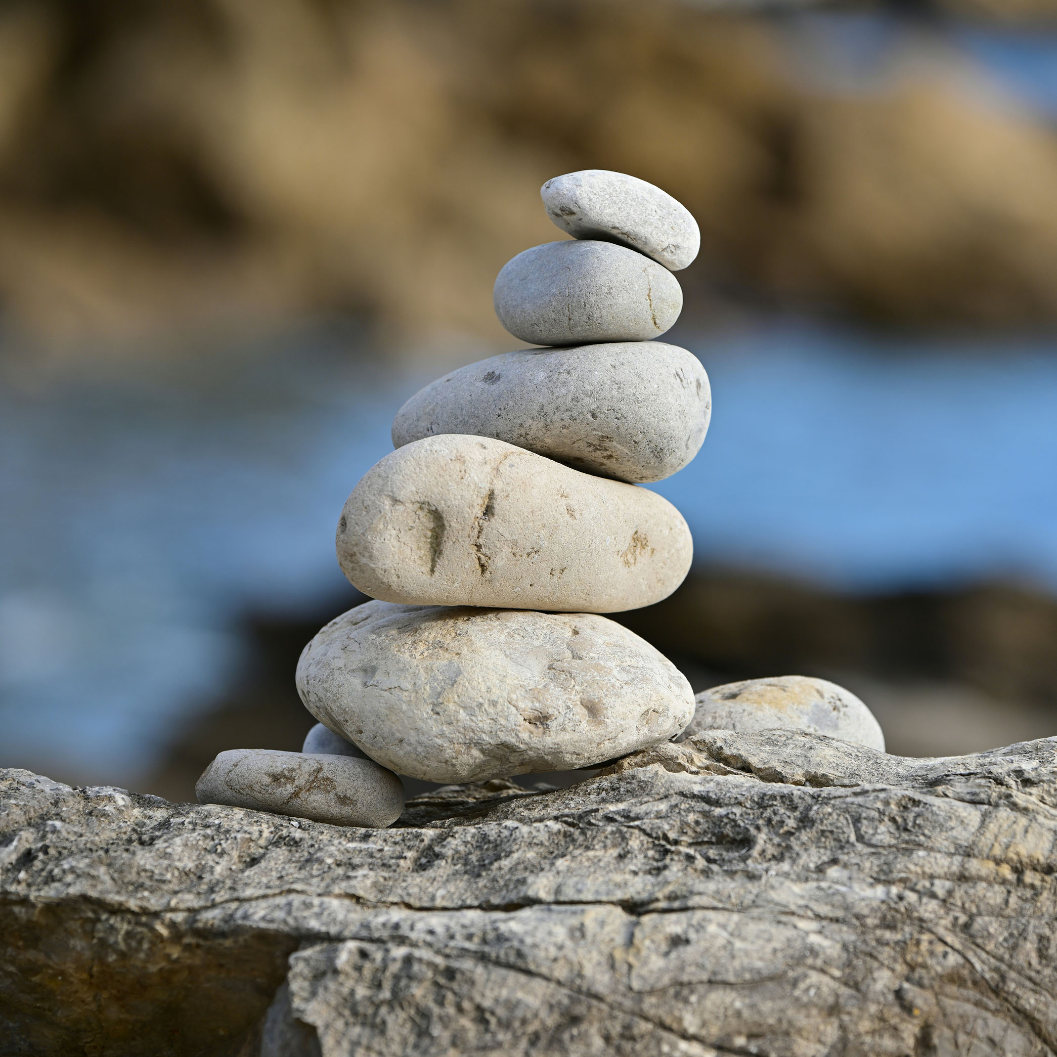 Bio-Identical Hormone Therapy (BHRT)