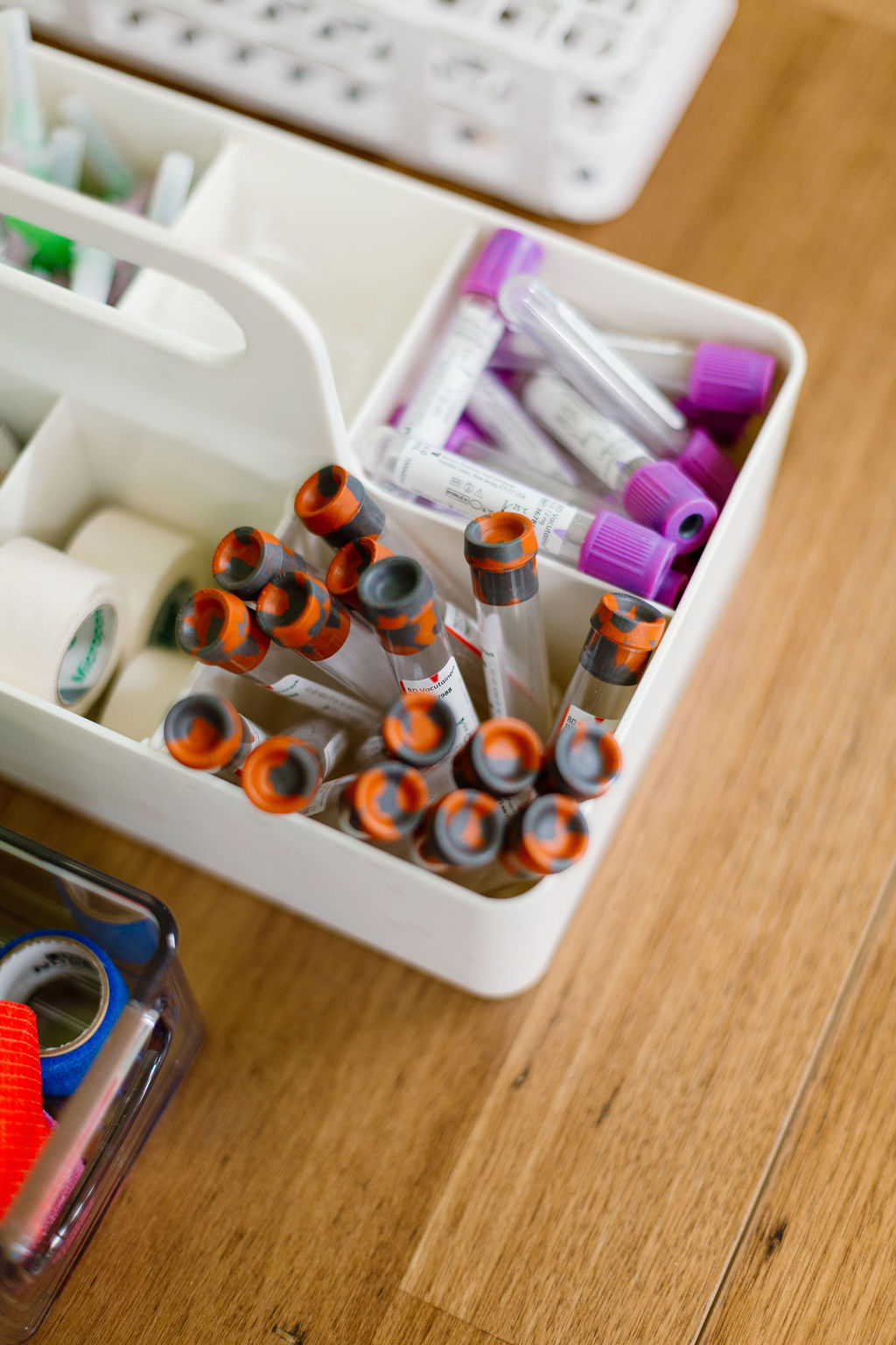 Comprehensive Bloodwork & Detox Support