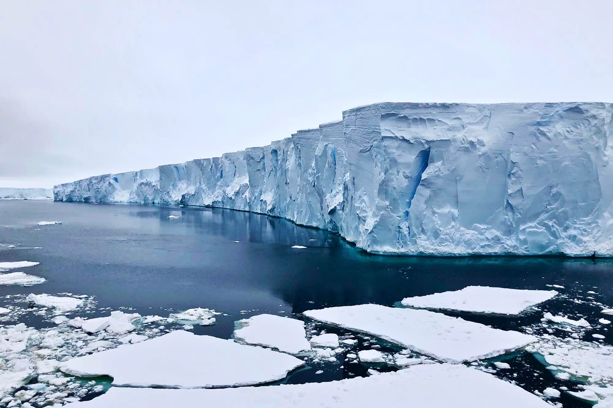 How Antarctica’s Thaw Is Quietly Re-architecting the Future of Global Cities