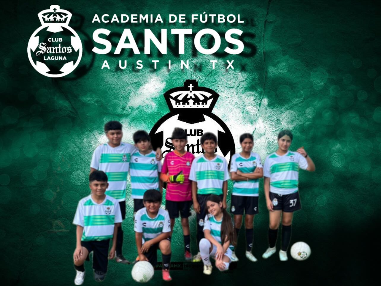 Expert Coaches