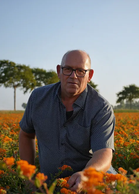 Bram Heijboer from V&F Seeds