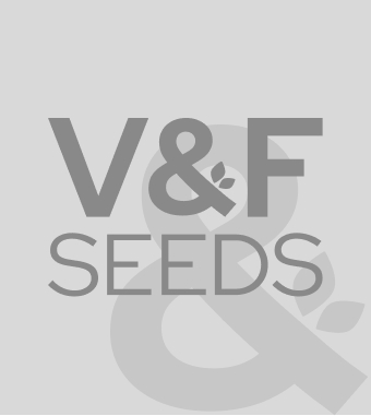 Wij produceren basis- en prebasiszaden van o.a. spinazie, sla, radijs, wortel, rode biet en kolen. Dit gebeurt samen met telers in Zuidwest-Nederland, met teeltbegeleiding.