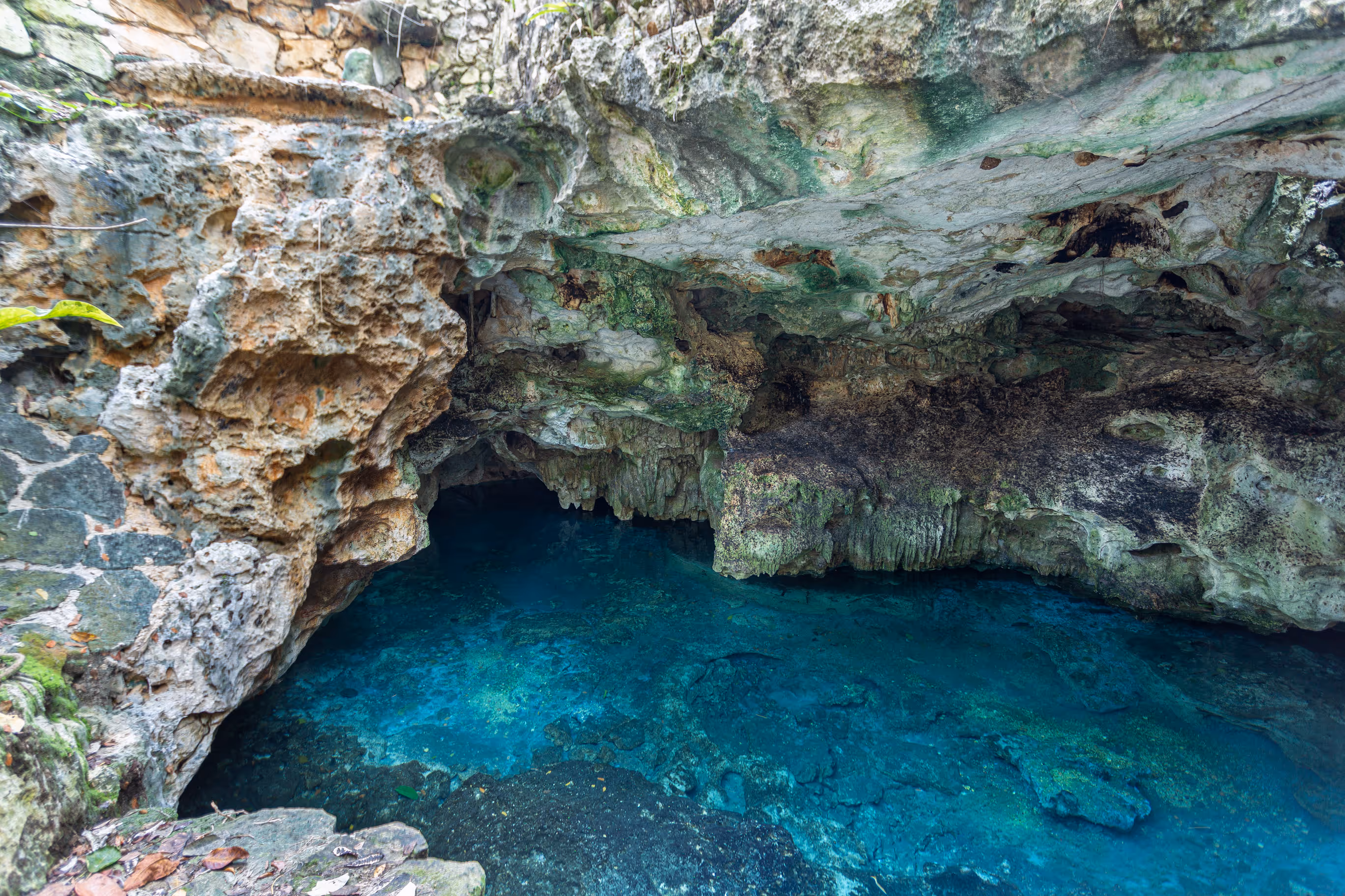 Exterior photo of the retreat