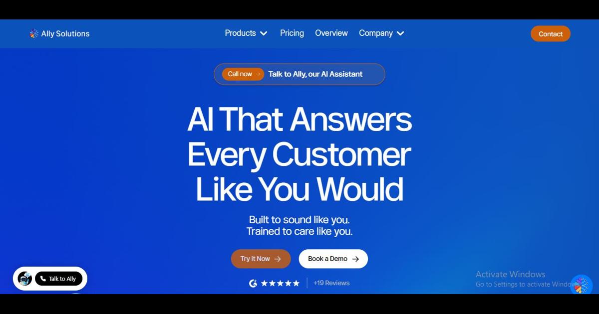 AllySolutions screenshot