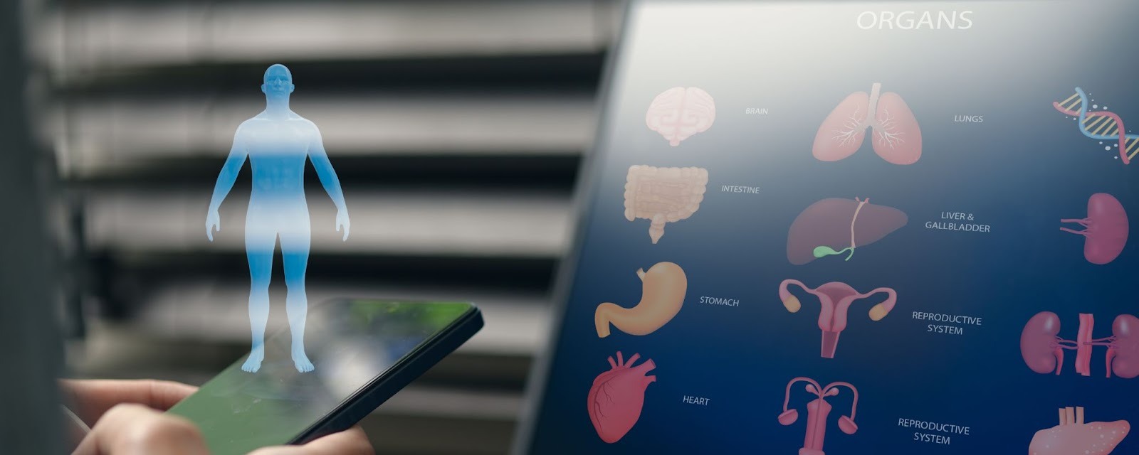  health education importance‍