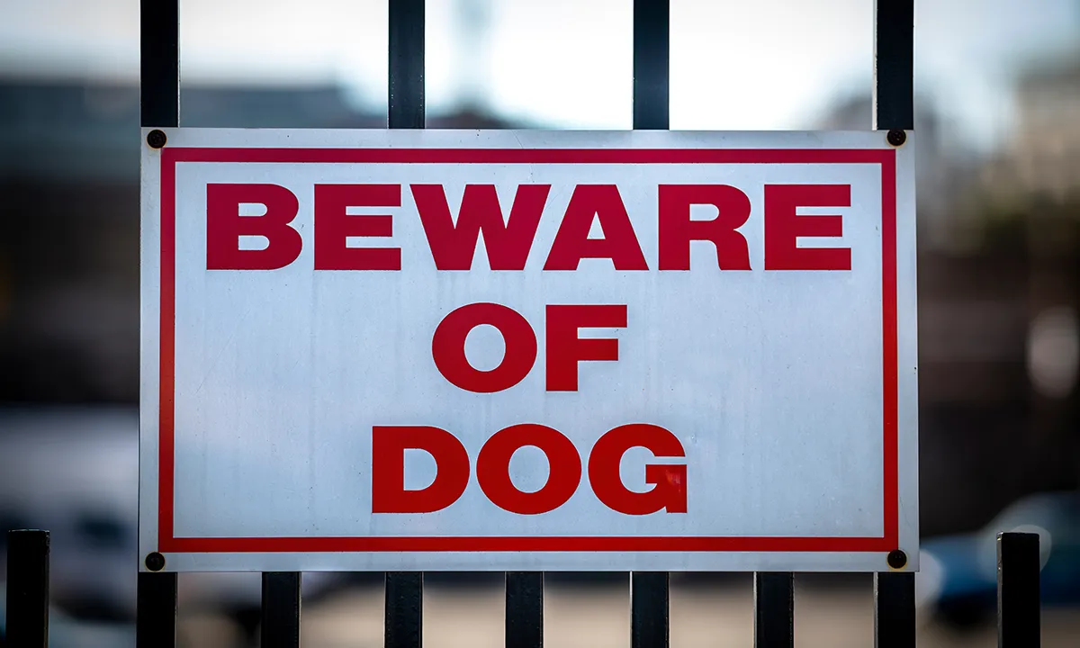Dog Bite Injuries in Florida: Why the Owner Is Liable Even If Their Dog Has Never Bitten Anyone Before