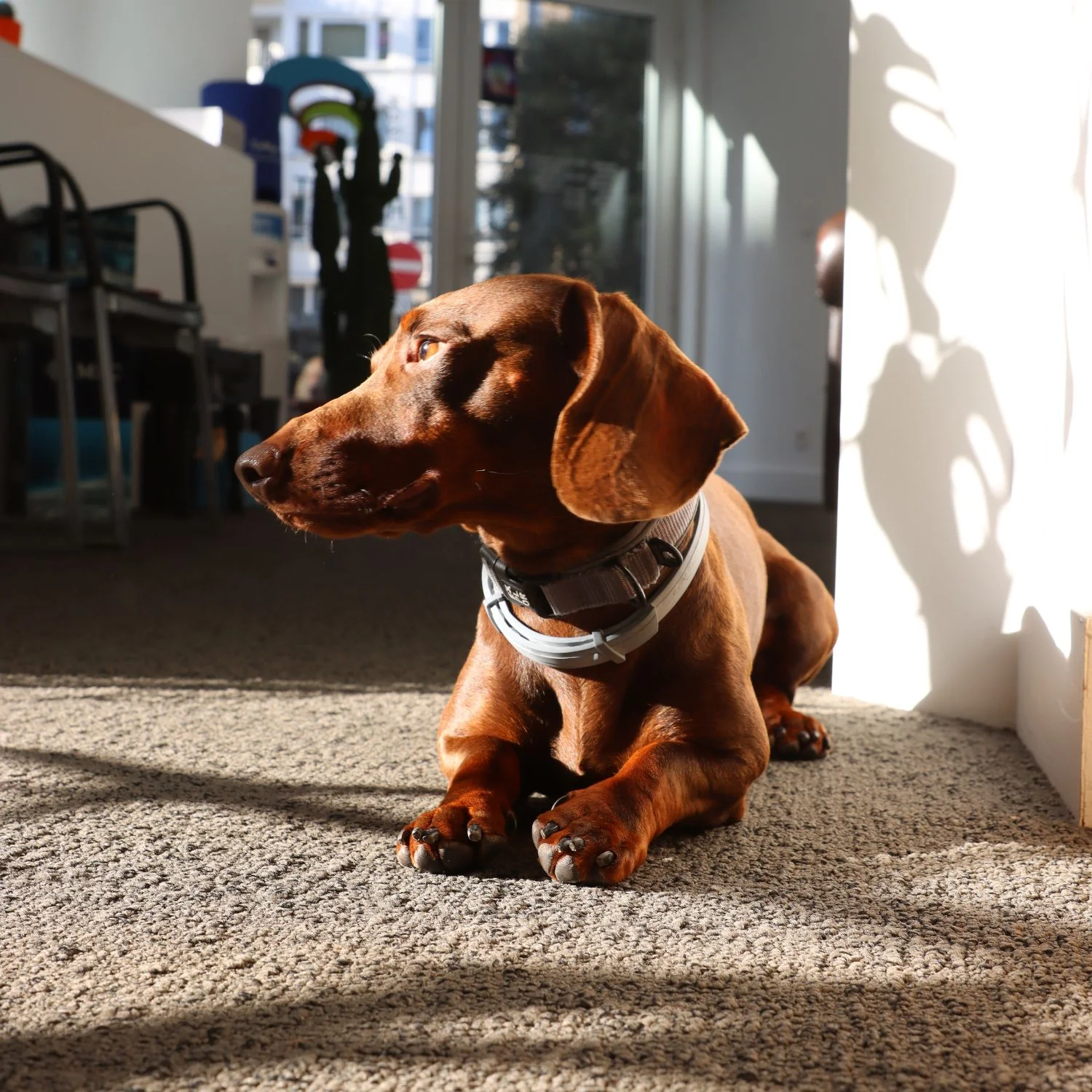 Right Shooters: Case Azuriet Reizen Oostende