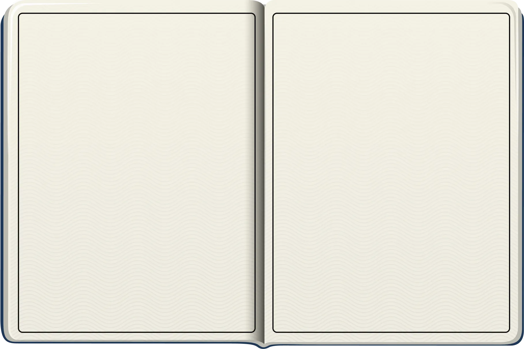 Image / Passport Blank