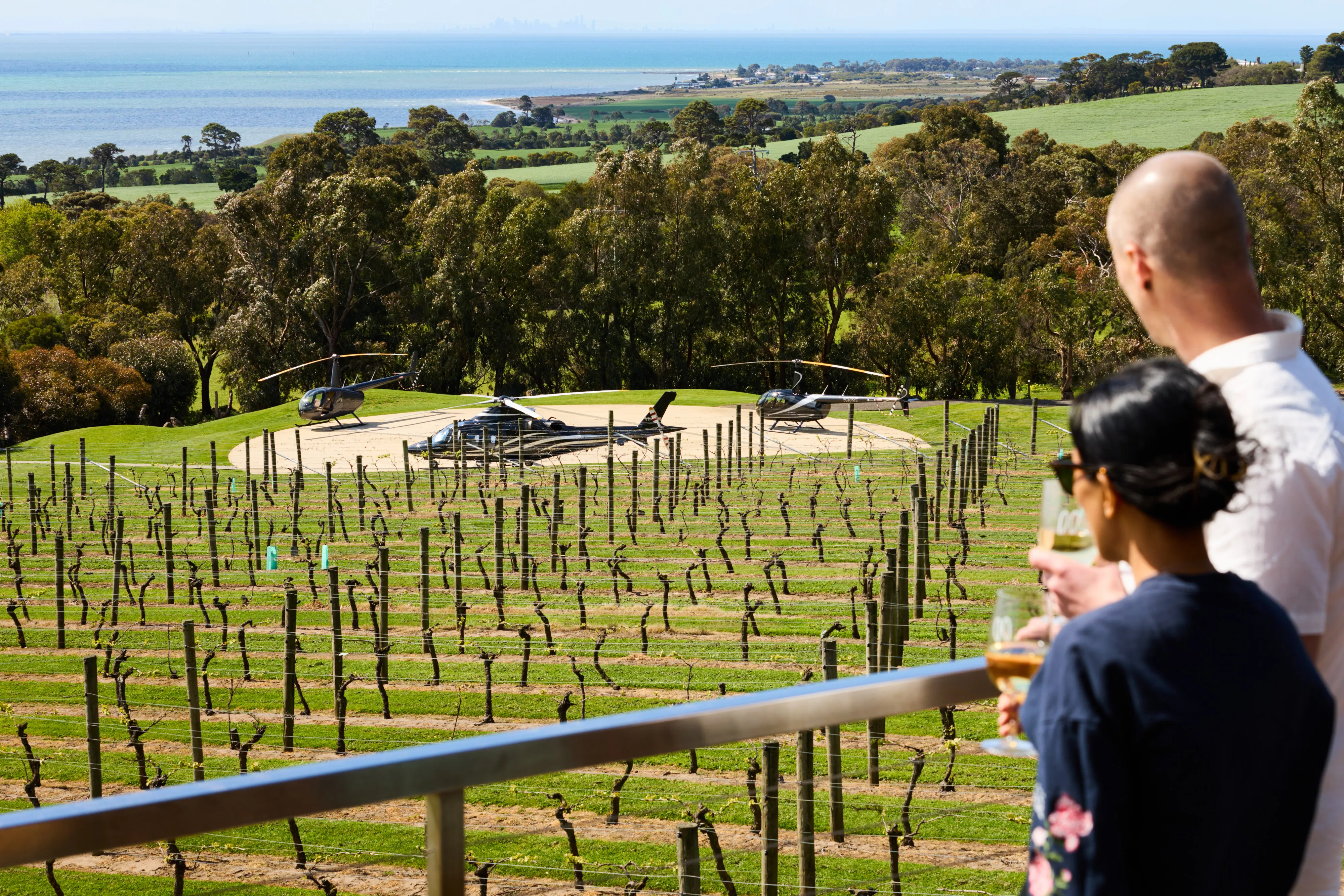 Couple holding wine glasses overlooking a vineyard with three helicopters parked on a helipad near trees and coastline.