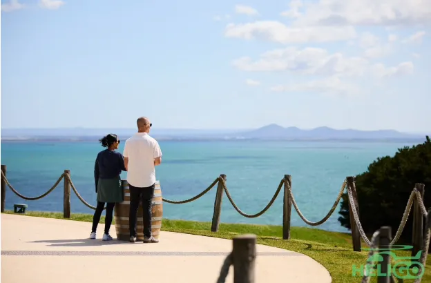 Couple watching ocean