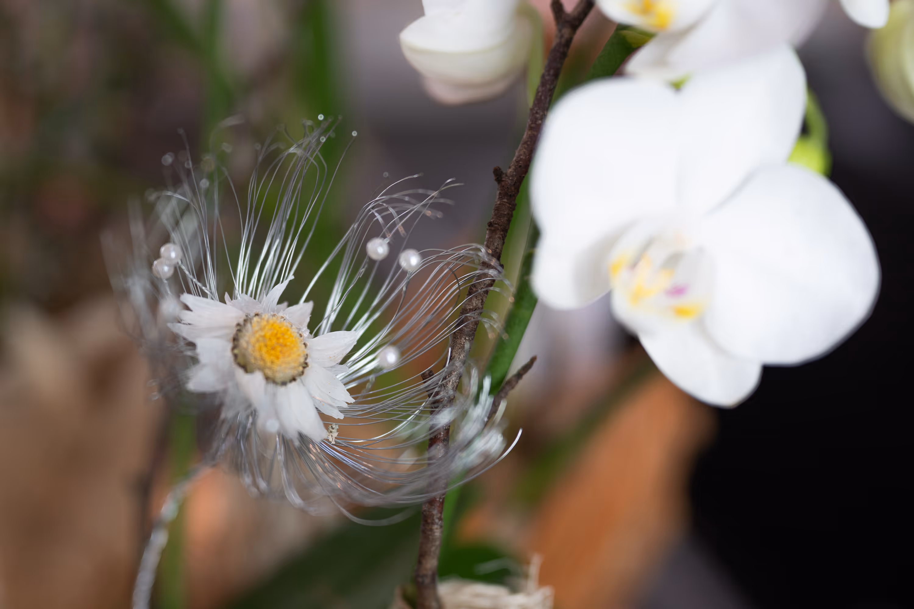Blumen von penny-made | Blumenatelier Penny Kühnis