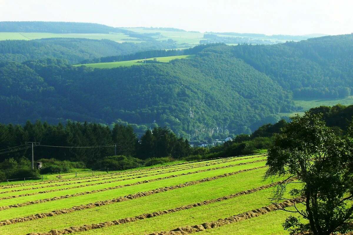 Aussicht 4