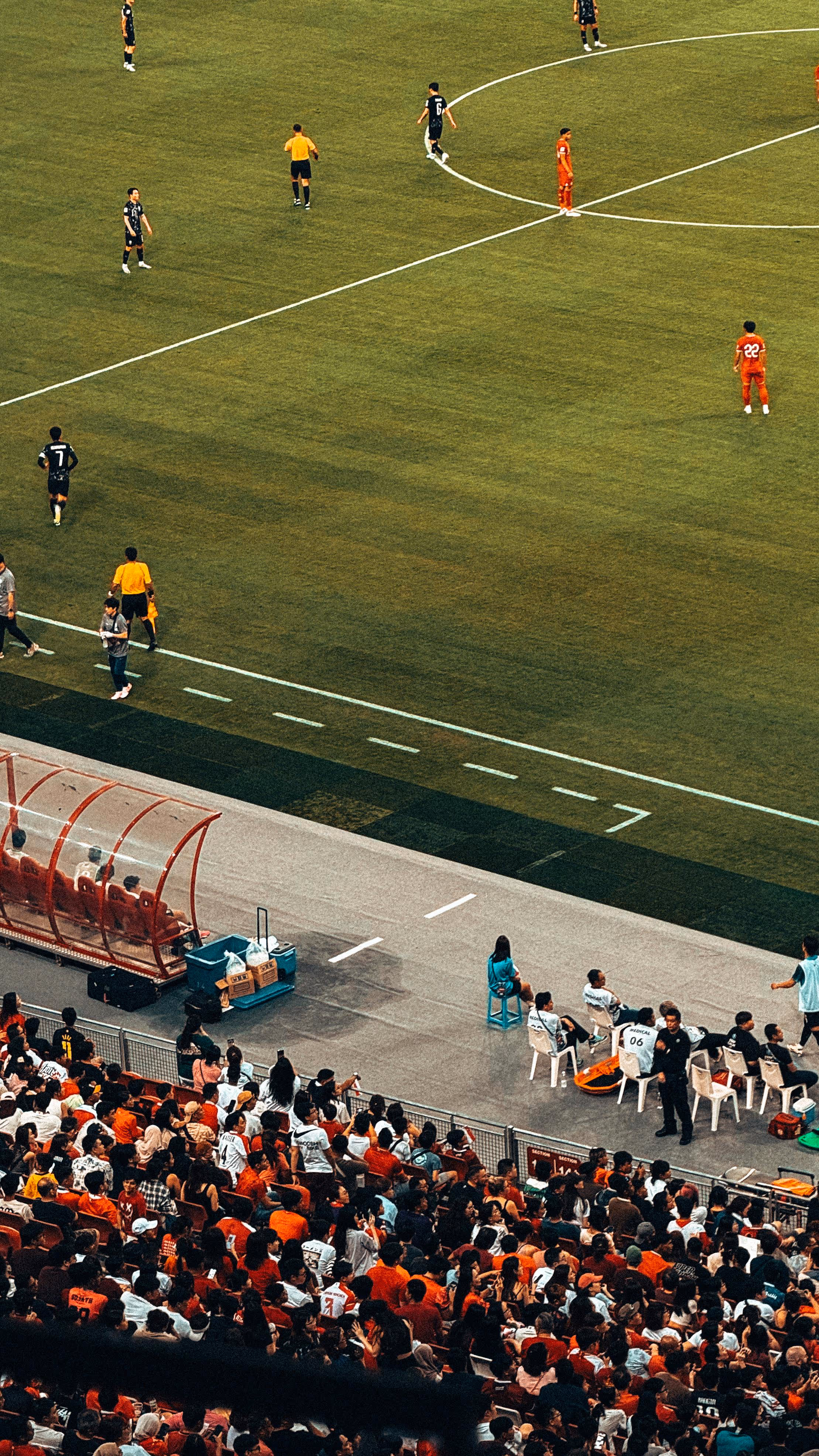 soccer field with a cheering crowd