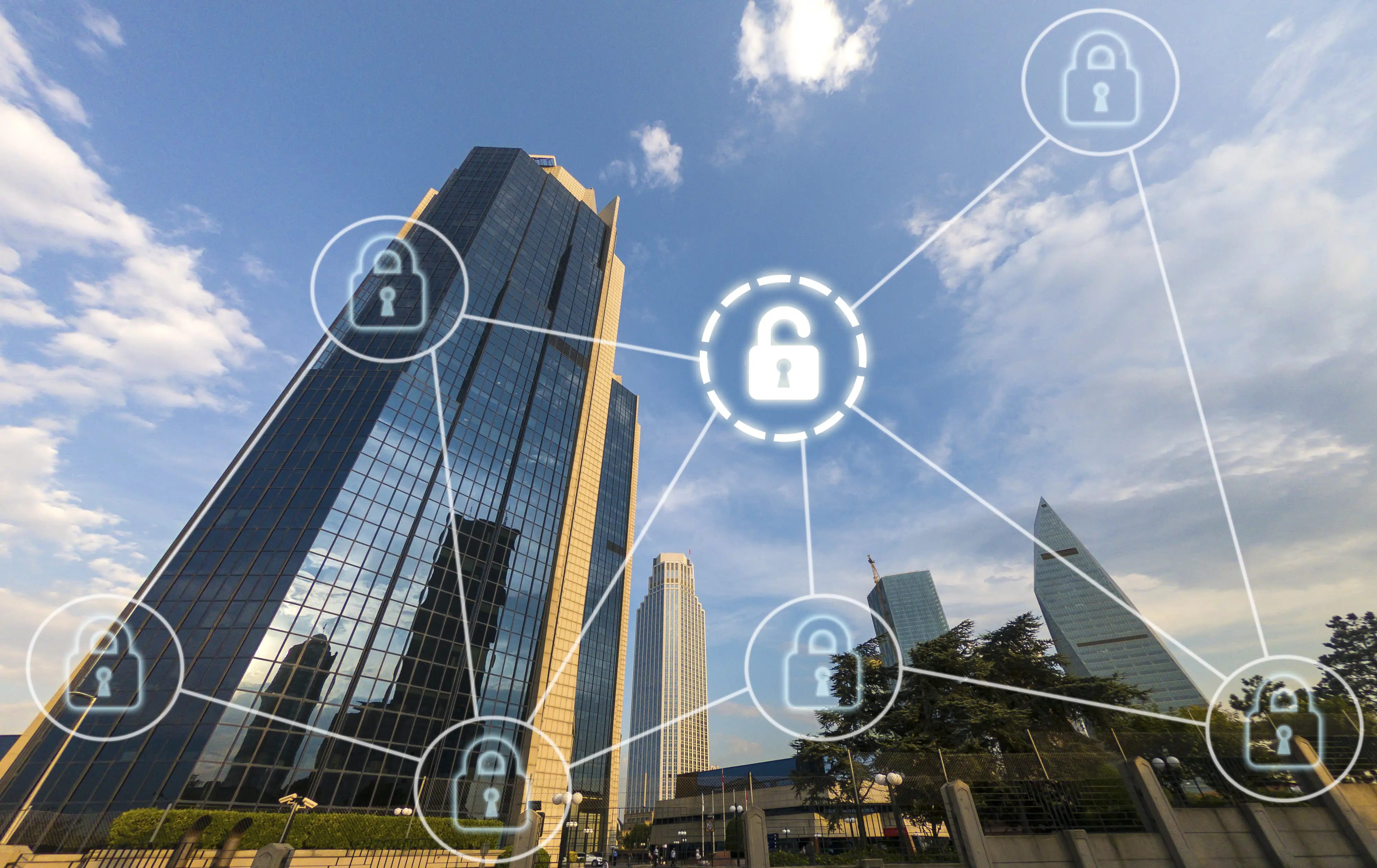 Distributionsmanager (m/w/d)