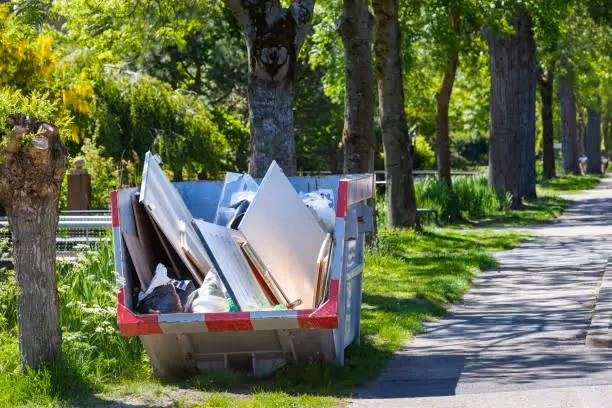 Speedy dumpster rental service 