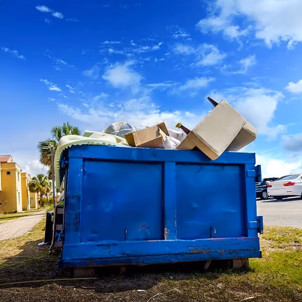 Speedy dumpster rental service 