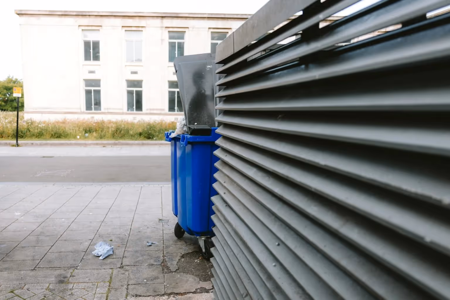 Speedy dumpster rental service 