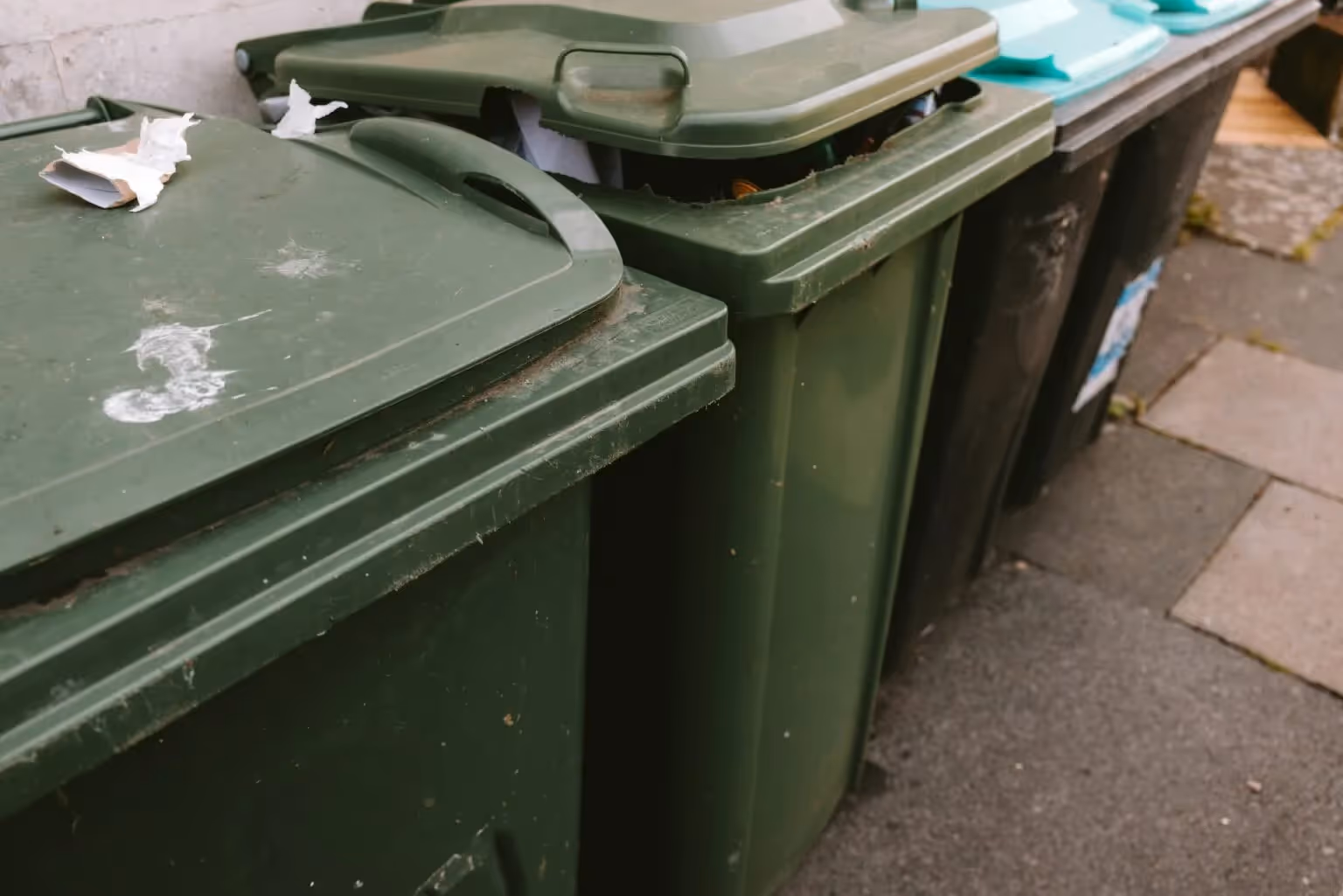 Speedy dumpster rental service 