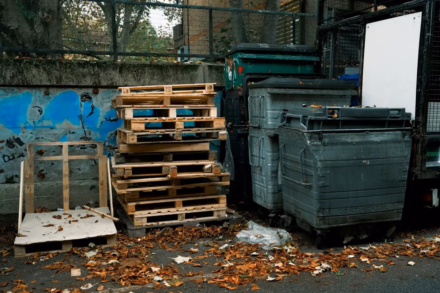 Speedy dumpster rental service 