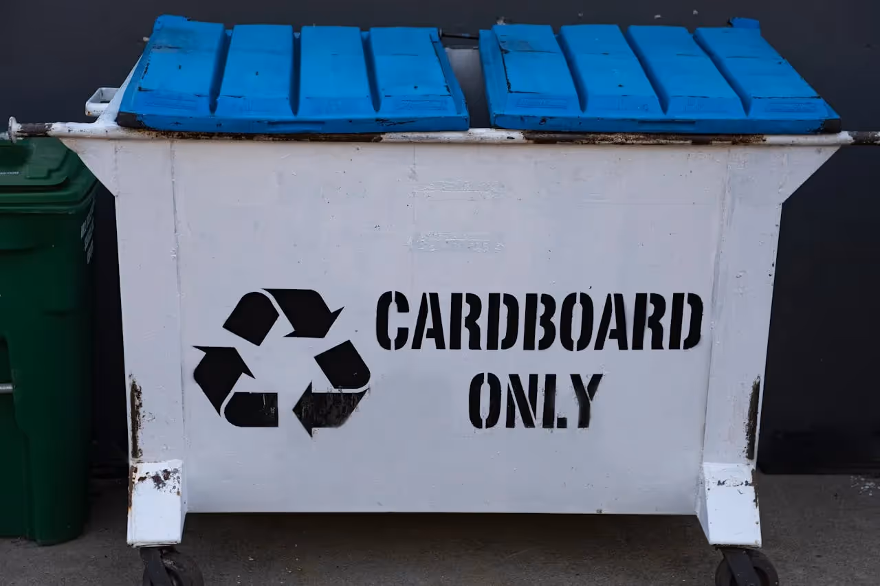 Speedy dumpster rental service 