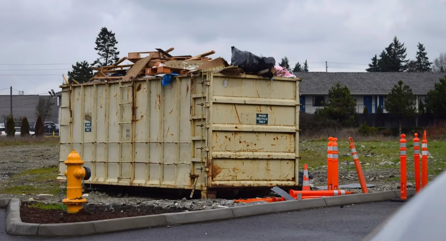 Speedy dumpster rental service 