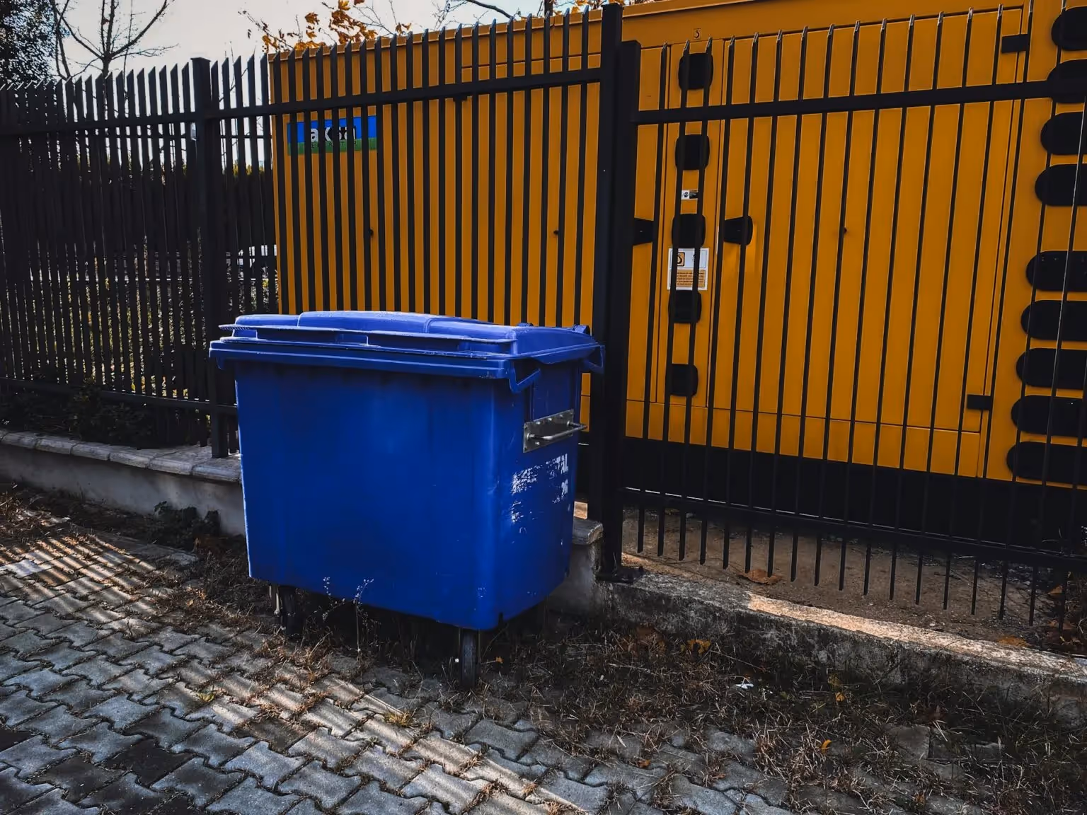 Speedy dumpster rental service 