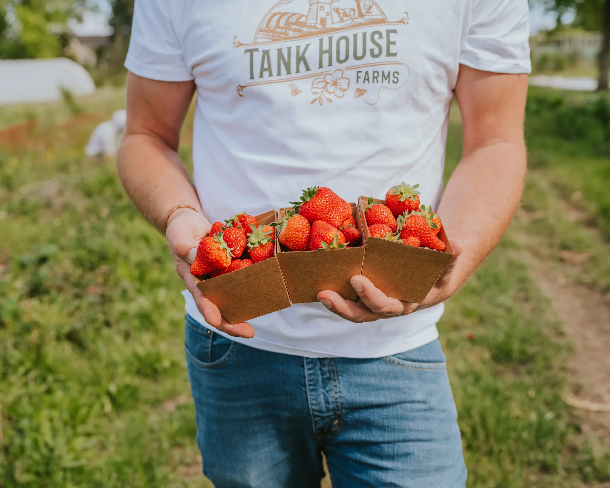 Farmer Landy from Tank House Farms Sonoma holding organic strawberries