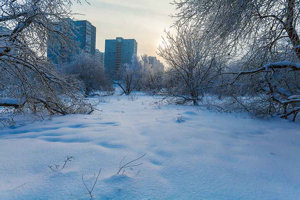 RavPlays Announces “Winter Survival” Event