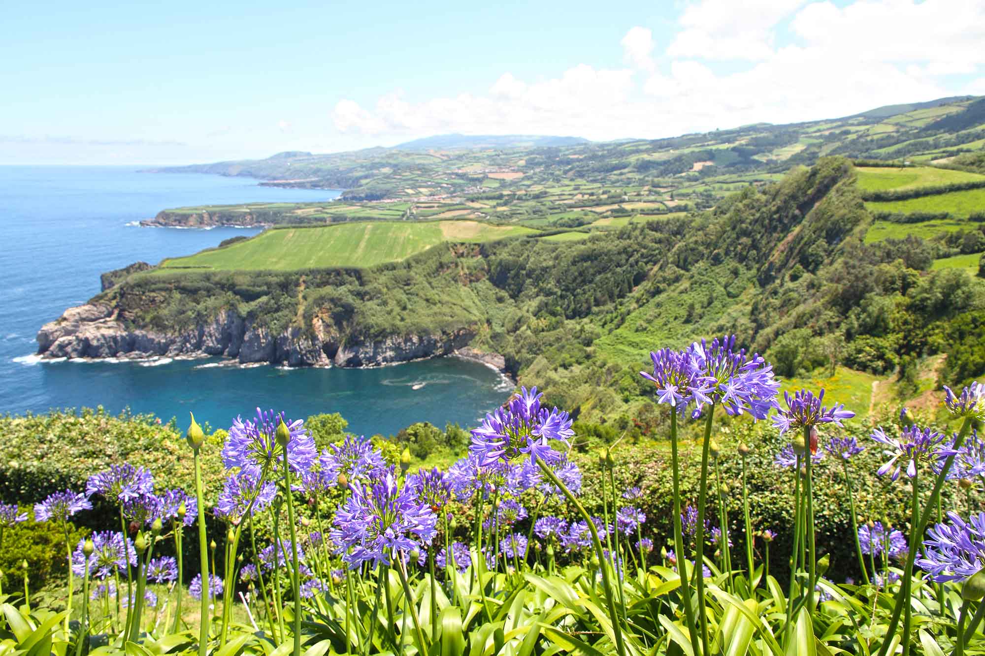 Azalea DayZ Map Playtest — Sept 24–Oct 1, 2025