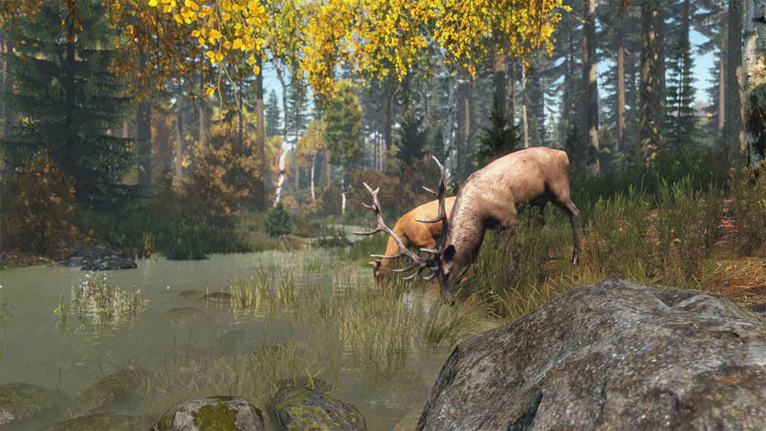 Guide to Chernarus Towns: Cyrillic Spellings, Pronunciation, and Common Nicknames