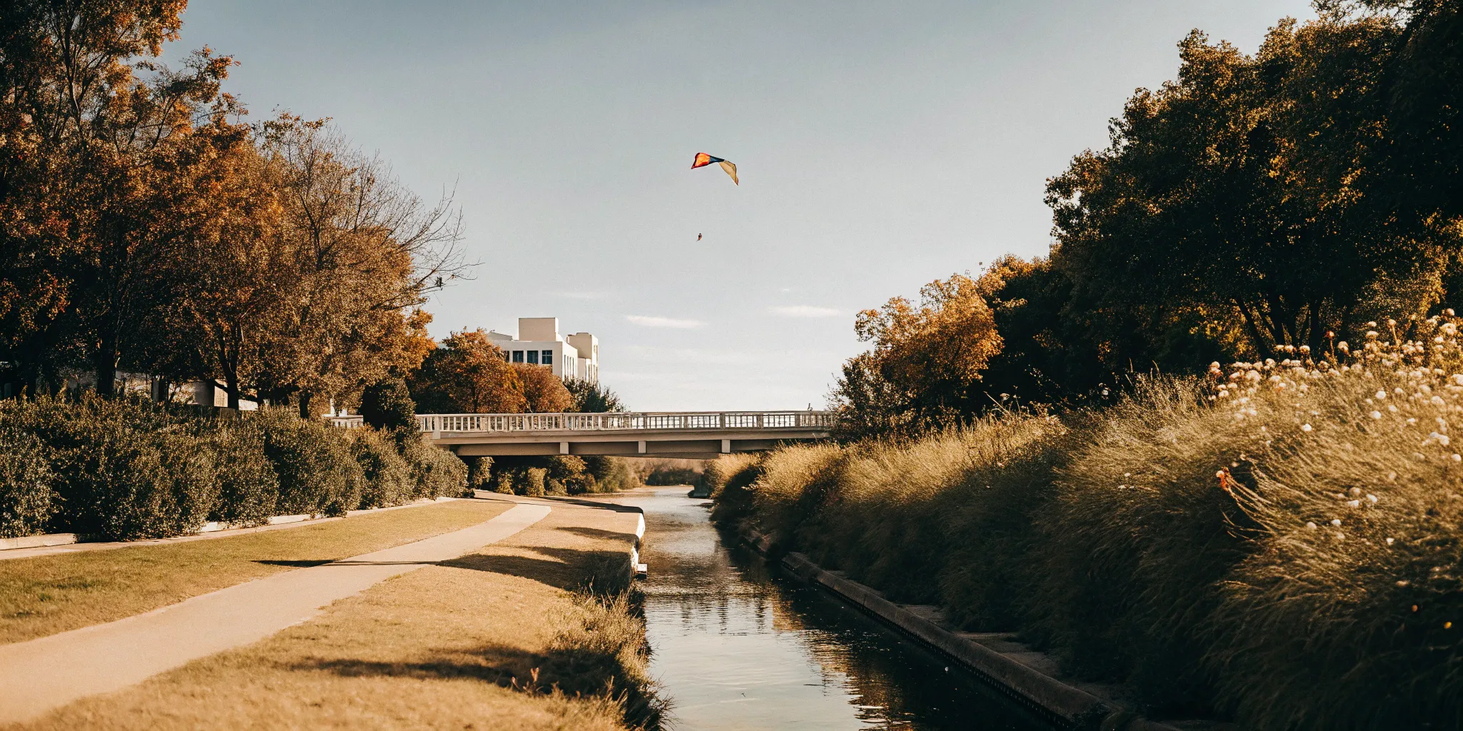 Your Guide to Autism Resources in Fort Worth, Texas