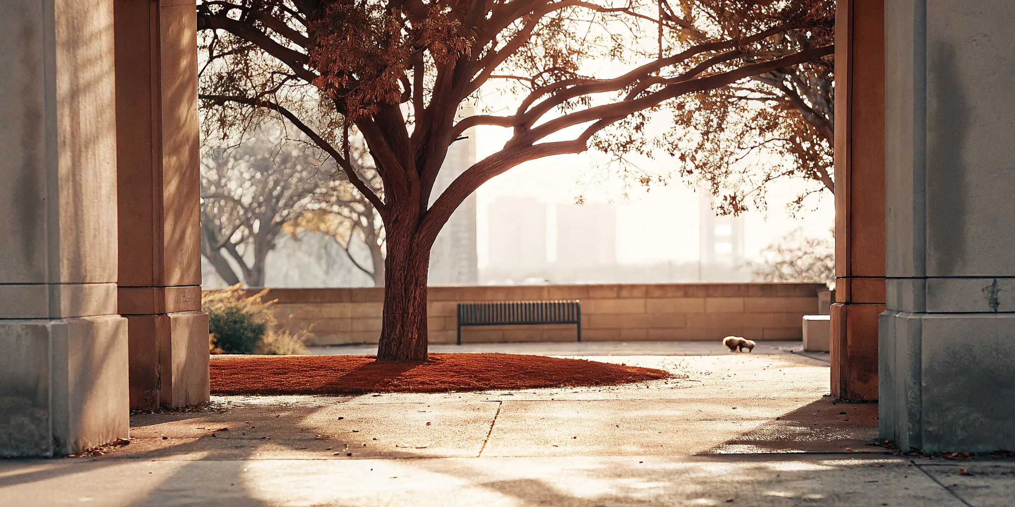 ABA Therapy in Austin: Top Providers and Parent Resources