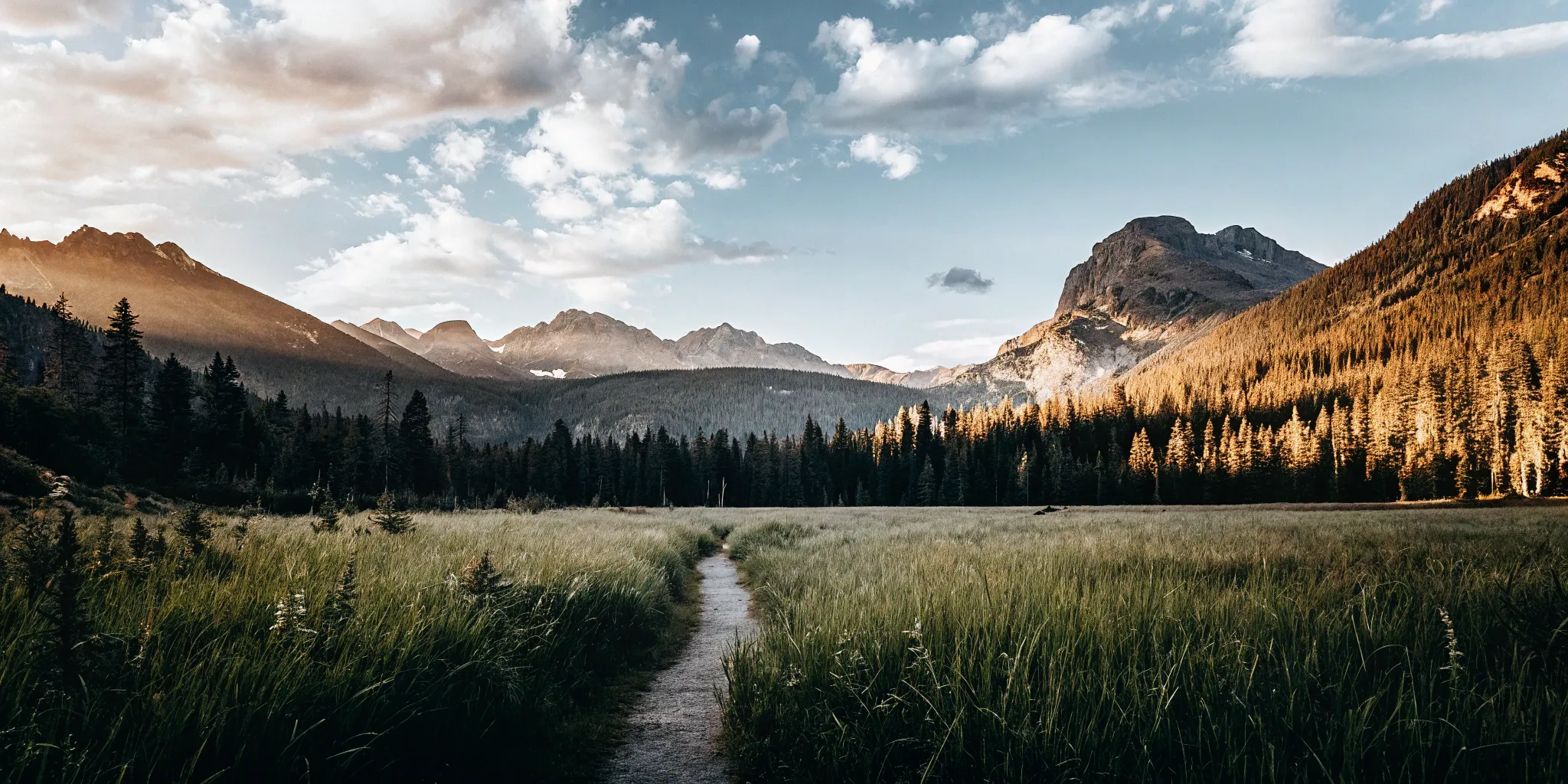 Colorado Medicaid Buy-In: Your Comprehensive Guide